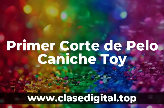 Primer Corte de Pelo Caniche Toy