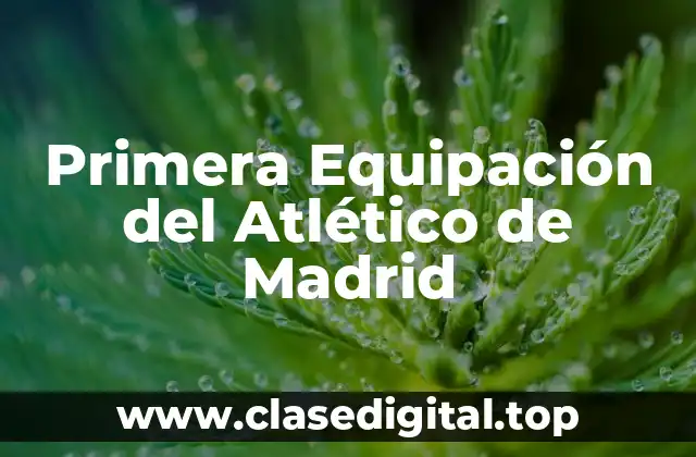 Primera Equipación del Atlético de Madrid