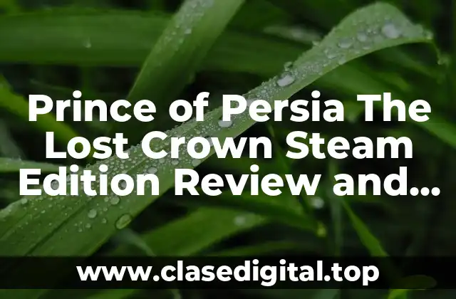Prince of Persia The Lost Crown Steam Edition Review and Gameplay