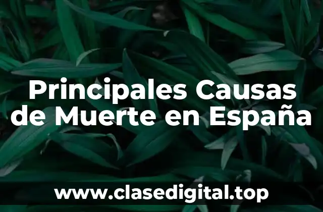 Principales Causas de Muerte en España