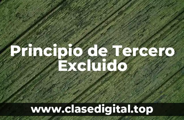 Ejemplos de Principio de Tercero Excluido