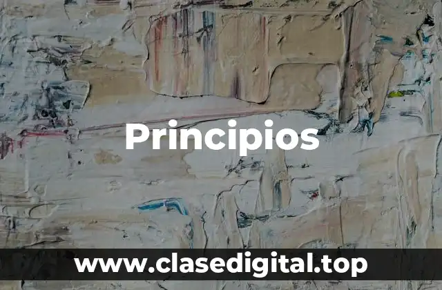 Ejemplos de principios