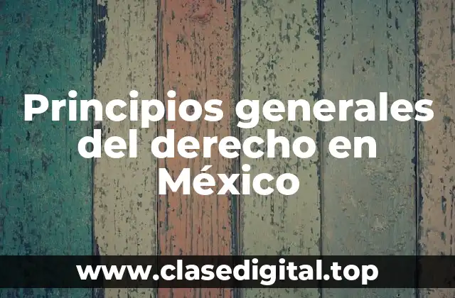 Principios generales del derecho en México