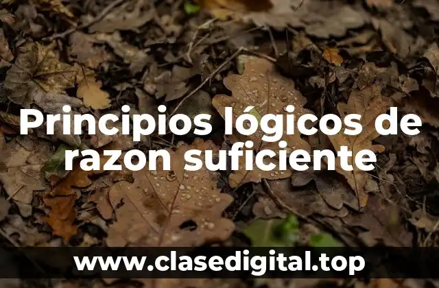 Principios lógicos de razon suficiente