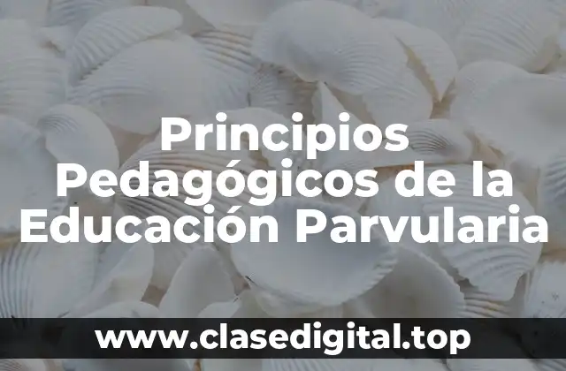 Principios Pedagógicos de la Educación Parvularia