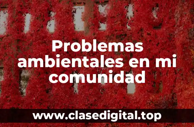 Problemas ambientales en mi comunidad