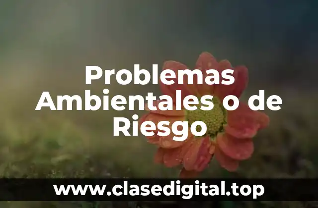 Problemas Ambientales o de Riesgo