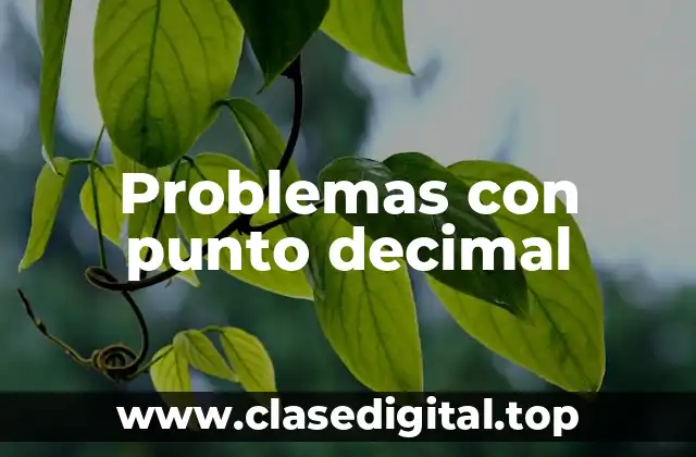 Problemas con punto decimal