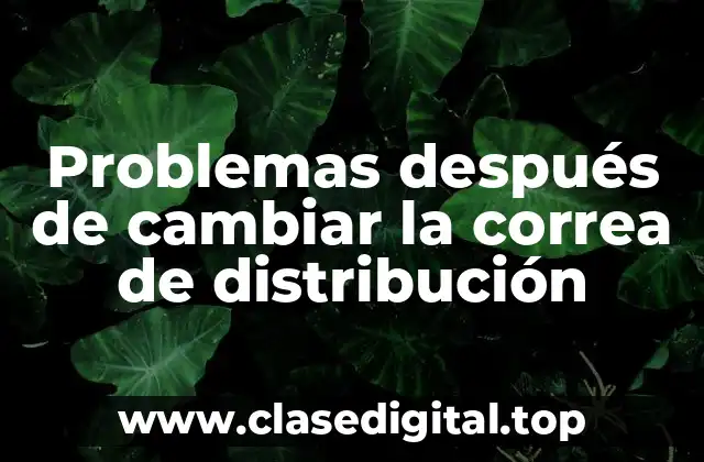 Problemas después de cambiar la correa de distribución