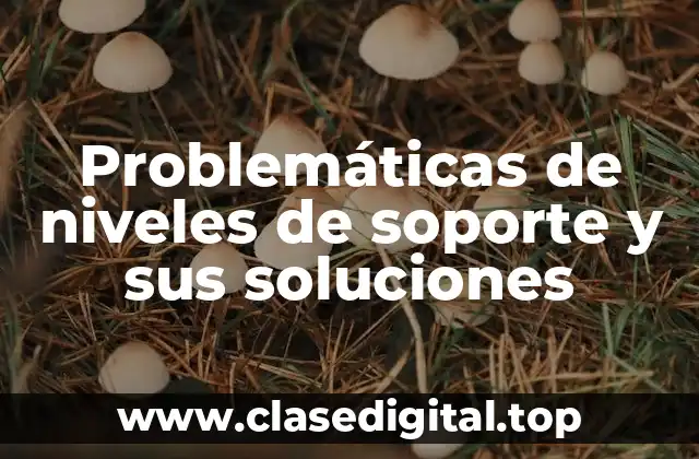 Problemáticas de niveles de soporte y sus soluciones