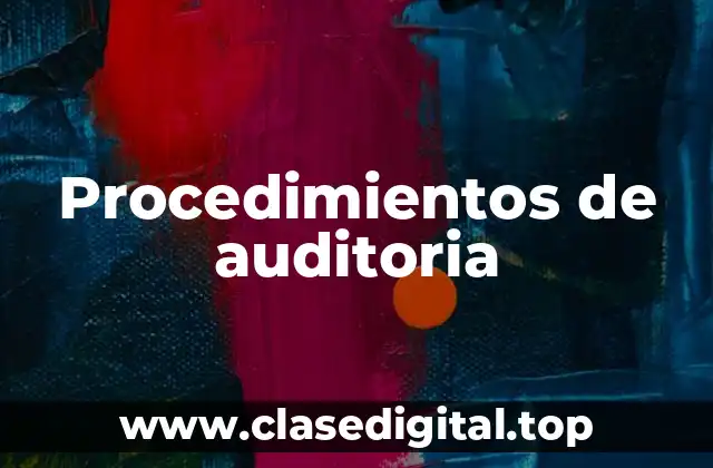 Procedimientos de auditoria