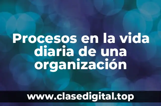 Procesos en la vida diaria de una organización