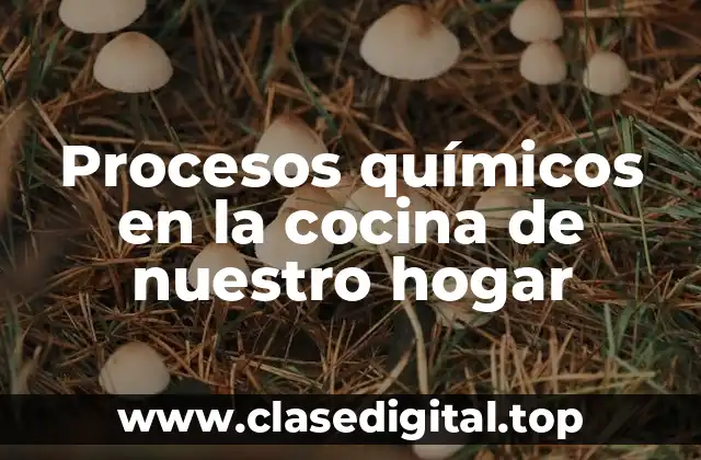 Procesos químicos en la cocina de nuestro hogar