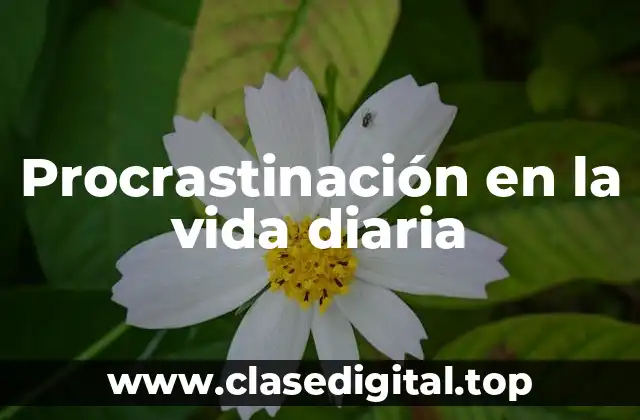 Procrastinación en la vida diaria