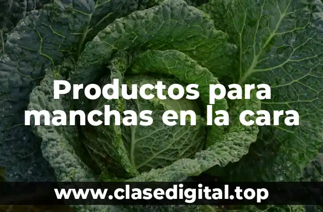 Productos para manchas en la cara
