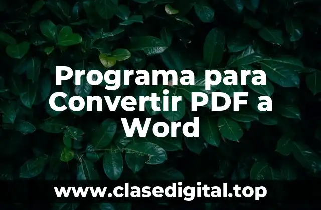 Programa para Convertir PDF a Word