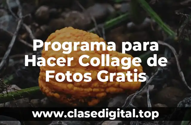 Programa para Hacer Collage de Fotos Gratis