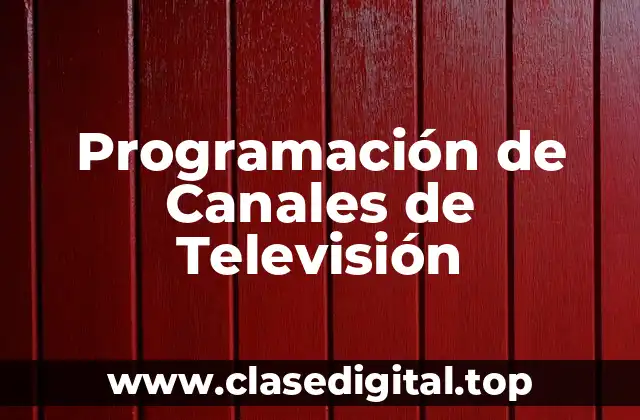Objetivos de la Programación de Canales de Televisión