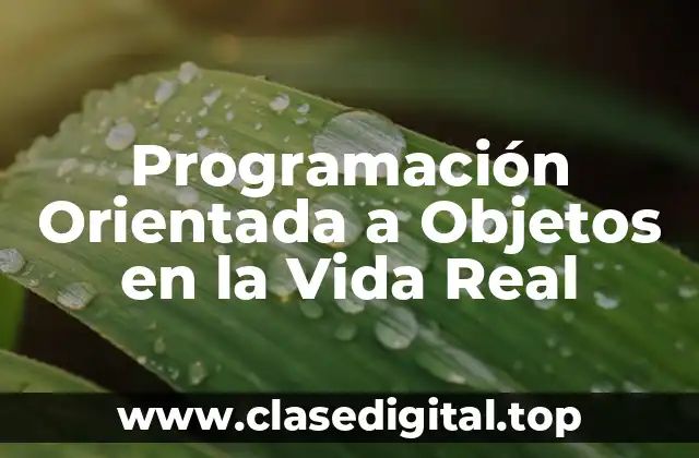 Programación Orientada a Objetos en la Vida Real