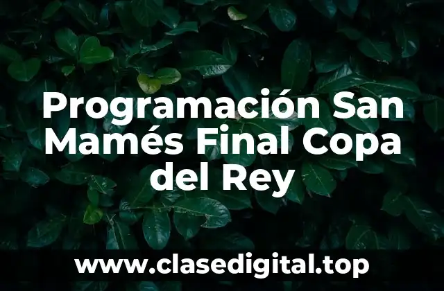 Programación San Mamés Final Copa del Rey