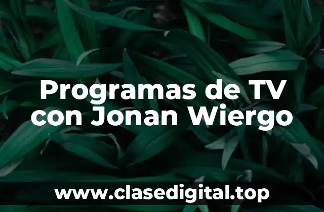 Programas de TV con Jonan Wiergo