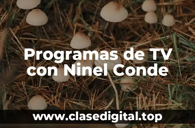 Programas de TV con Ninel Conde