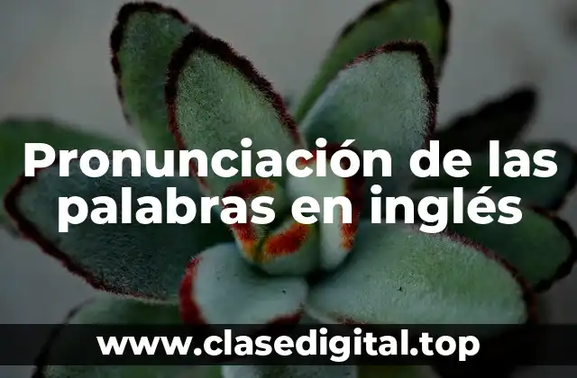 ¿Cuáles son los sonidos más comunes en el inglés?