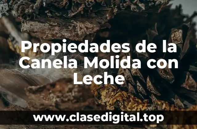 ¿Qué es la Canela Molida con Leche y Cómo se Prepara?