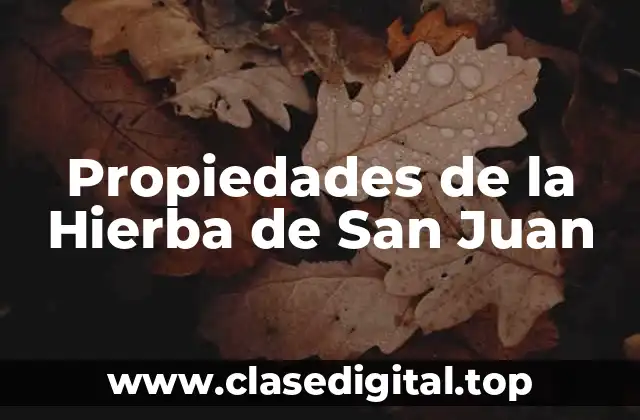 Propiedades de la Hierba de San Juan