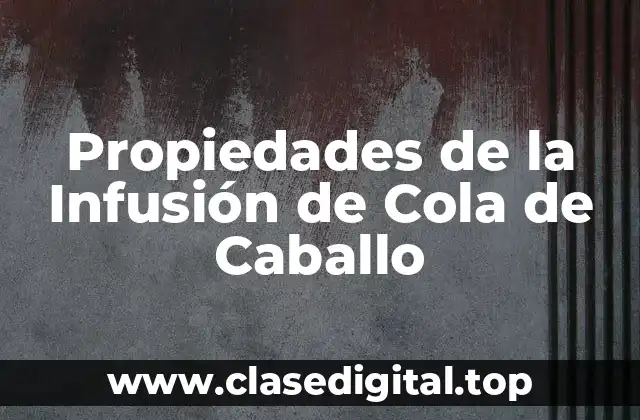 ¿Qué es la Cola de Caballo?