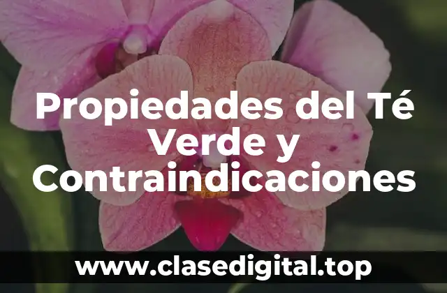 Propiedades del Té Verde: Beneficios para la Salud