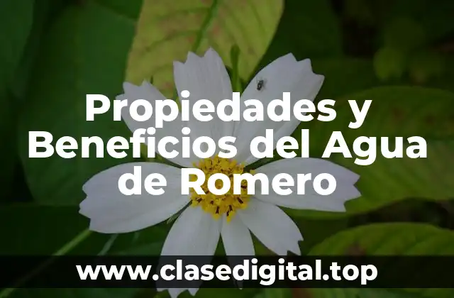 Propiedades y Beneficios del Agua de Romero