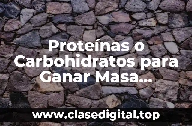 Proteínas o Carbohidratos para Ganar Masa Muscular