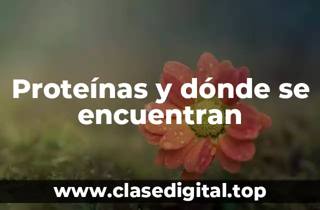 Proteínas y dónde se encuentran