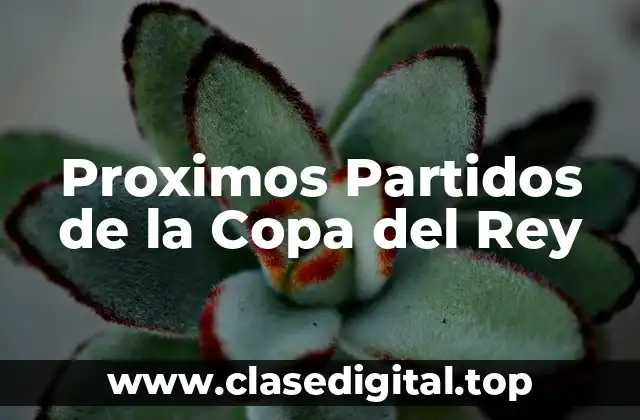 Proximos Partidos de la Copa del Rey