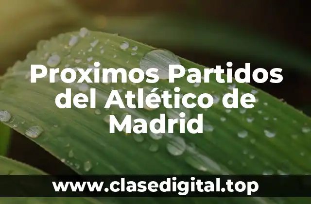 Proximos Partidos del Atlético de Madrid
