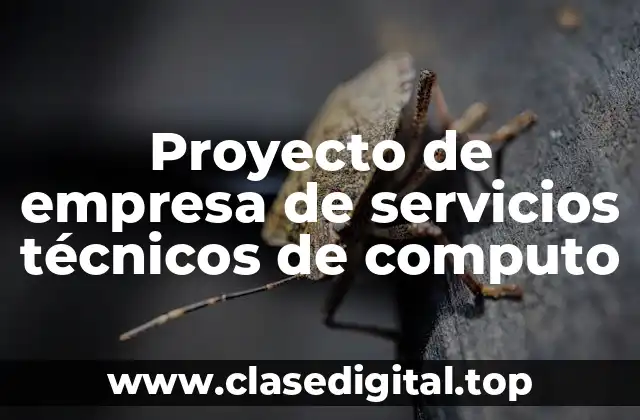 Ejemplos de proyectos de empresa de servicios técnicos de computo