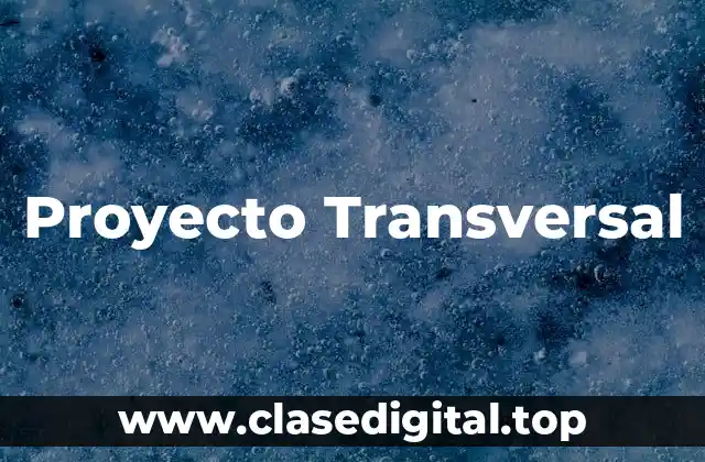 Proyecto Transversal