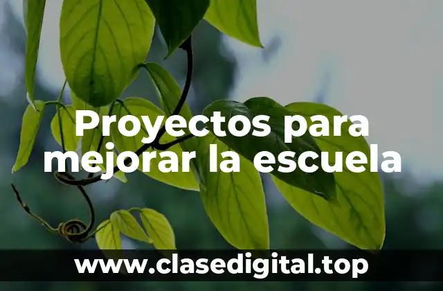 Proyectos para mejorar la escuela
