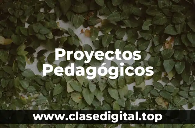 Proyectos Pedagógicos