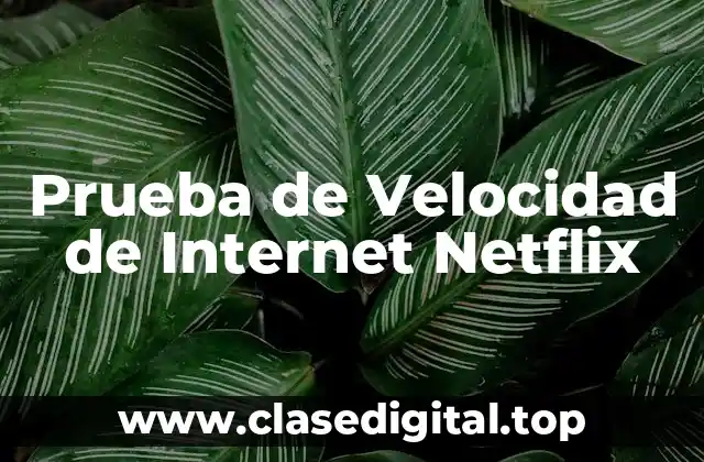 ¿Por qué es Importante la Prueba de Velocidad de Internet Netflix?