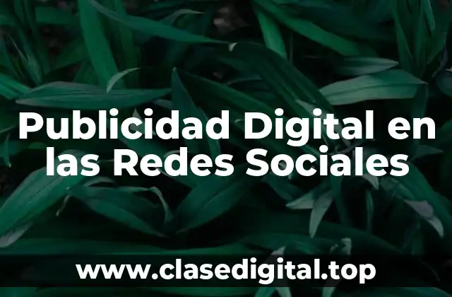Publicidad Digital en las Redes Sociales