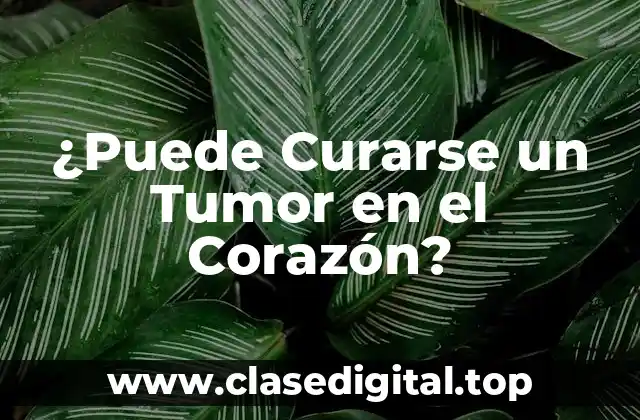¿Puede Curarse un Tumor en el Corazón?