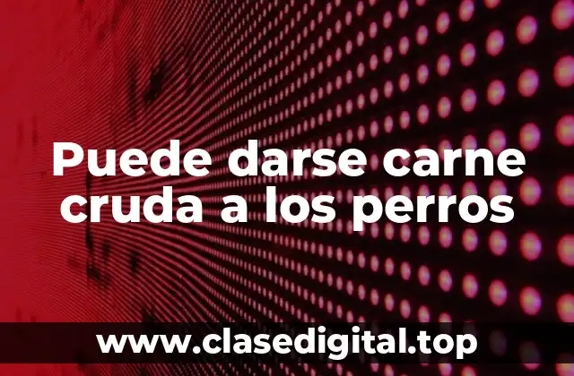 Puede darse carne cruda a los perros