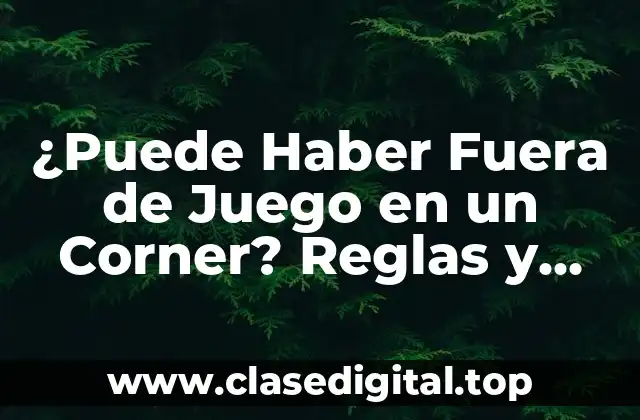 ¿Qué es el Fuera de Juego?