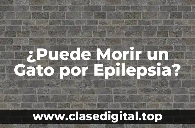 ¿Puede Morir un Gato por Epilepsia?
