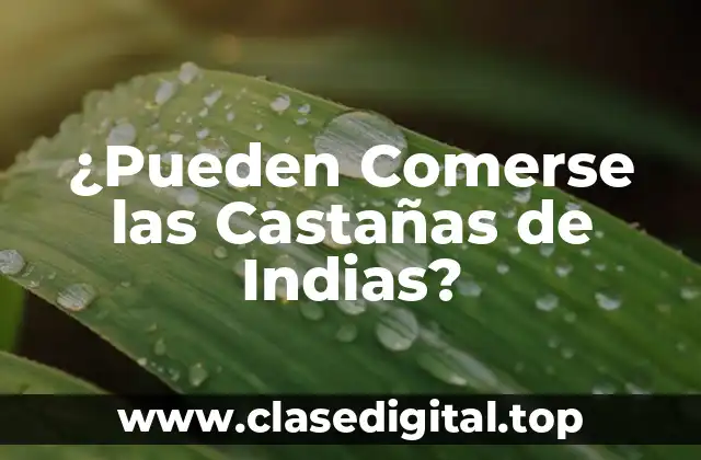 ¿Pueden Comerse las Castañas de Indias?
