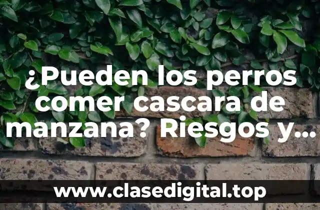 ¿Pueden los perros comer cascara de manzana? Riesgos y beneficios