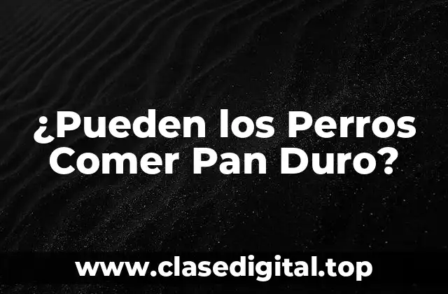 ¿Qué es el Pan Duro?