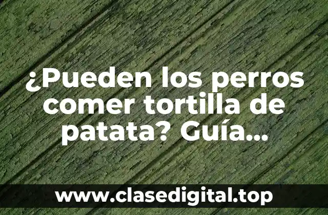 ¿Pueden los perros comer tortilla de patata? Guía completa para dueños de perros